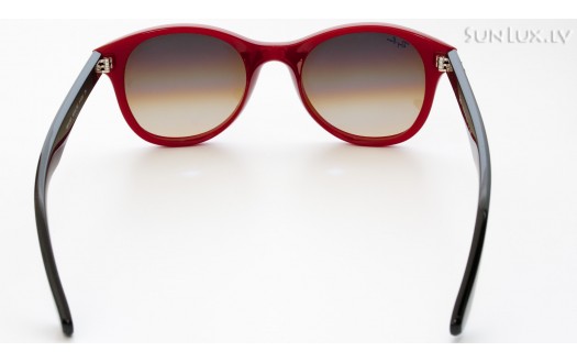 Ray-Ban Highstreet Round Lenses (RB4203 604485 51mm) saules brilles